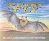 How Bat Learned to Fly