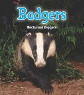 Badgers: Nocturnal Diggers