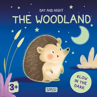 Day and Night. The Woodland