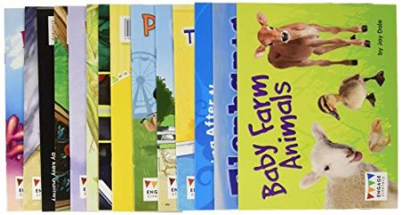 Engage Literacy Blue Level 11 Pack of 10 Readers