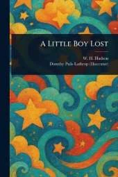 A Little Boy Lost