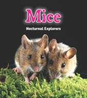 Mice: Nocturnal Explorers