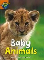 Fact World Stage 4: Baby Animals