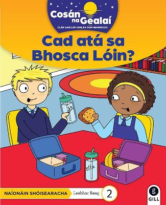 COSAN NA GEALAI Cad ata sa Bhosca Loin?: Junior Infants Fiction Reader 2