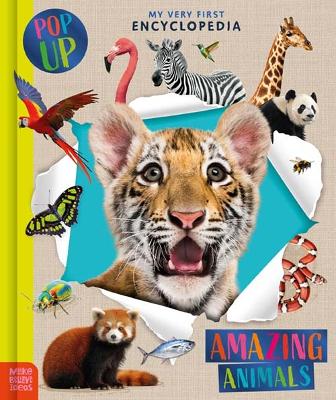 Amazing Animals
