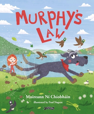 Murphy's Law