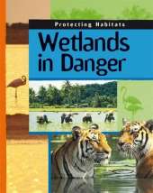 Protecting Habitats: Wetlands In Danger