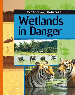 Protecting Habitats: Wetlands In Danger