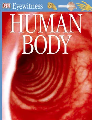 Human Body