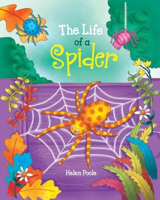 The Life of a Spider
