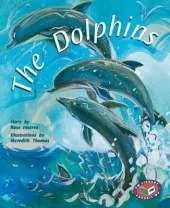 The Dolphins