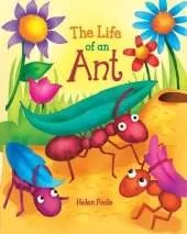 The Life of Ant