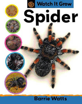 Watch It Grow: Spider