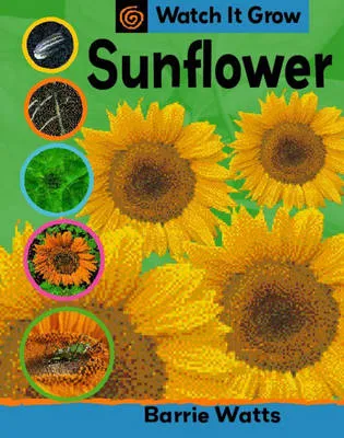 Watch It Grow: Sunflower