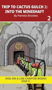 Trip to Cactus Gulch 2. Into the Mineshaft: Decodable Chapter Book Series for Students Learning to Read. For Developing Readers and Students with Dyslexia. (Step 9-Vowel Digraphs-ai, ay, ea, ee, ie, oa, oe. Advancing Two-Syllable Words)