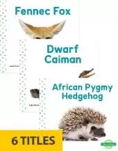 Mini Animals (Set of 6)