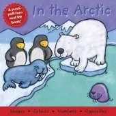 In the Arctic