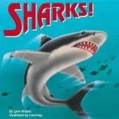 Sharks!