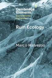 Ruin Ecology: An Exercise in Environmental Imagination