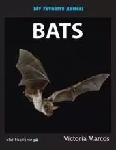 My Favorite Animal: Bats