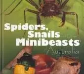 Spiders: Snails and Other Minibeasts of Australia