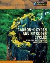 Carbon-Oxygen and Nitrogen Cycles