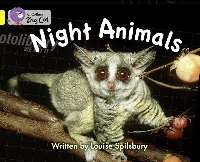 Night Animals Workbook