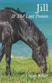 Jill and the Lost Ponies (Jill 10): What Happened Next