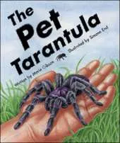 The Pet Tarantula