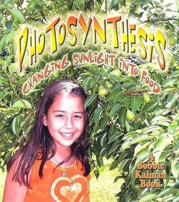 Photosynthesis: Changing Sunlight to Food