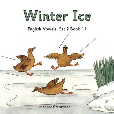 Winter Ice