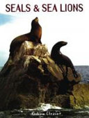 Seals and Sea Lions