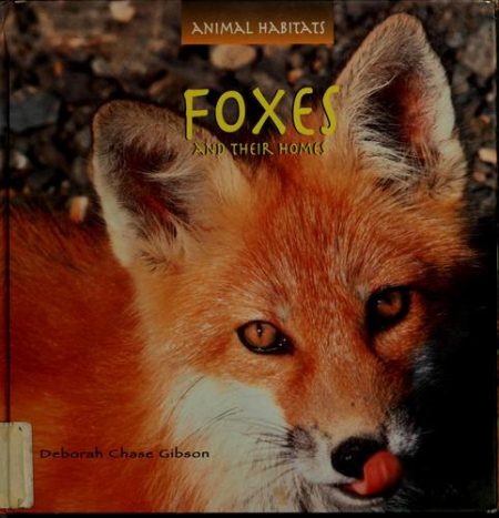 Foxes and Their Homes