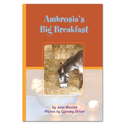Ambrosia's Big Breakfast