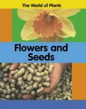 The World of Plants: Flowers and Seeds
