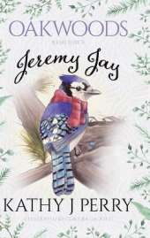 Jeremy Jay: Resilience