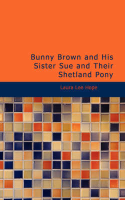 Bunny Brown and His Sister Sue and Their Shetland Pony