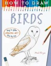 How to Draw Birds