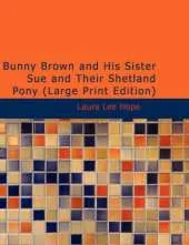 Bunny Brown and His Sister Sue and Their Shetland Pony