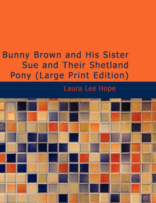 Bunny Brown and His Sister Sue and Their Shetland Pony
