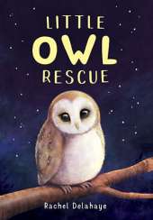 Little Owl Rescue