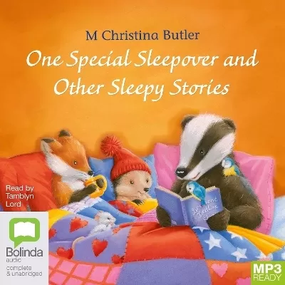 One Special Sleepover: And Other Sleepy Stories
