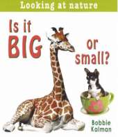 Is it Big or Small?