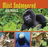 All About Animals