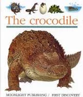 Crocodile