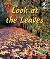 Look at the Leaves