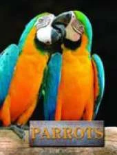 Parrots
