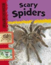 Killer Nature: Scary Spiders