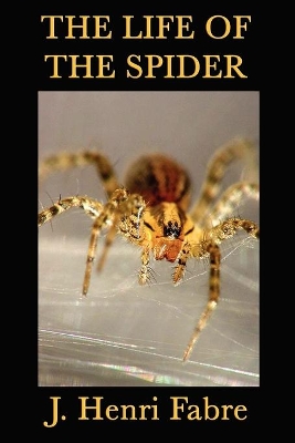 The Life of the Spider: Classic Studies of Spider Behavior and Instinct