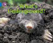 What's Underground? Workbook